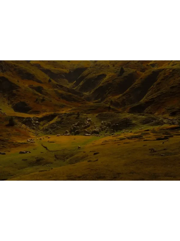 Fotografija stada ovaca na padinama planina