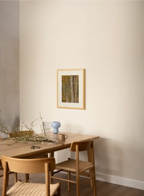 Prašuma Biogradske gore - slika na zidu trpezarije u small