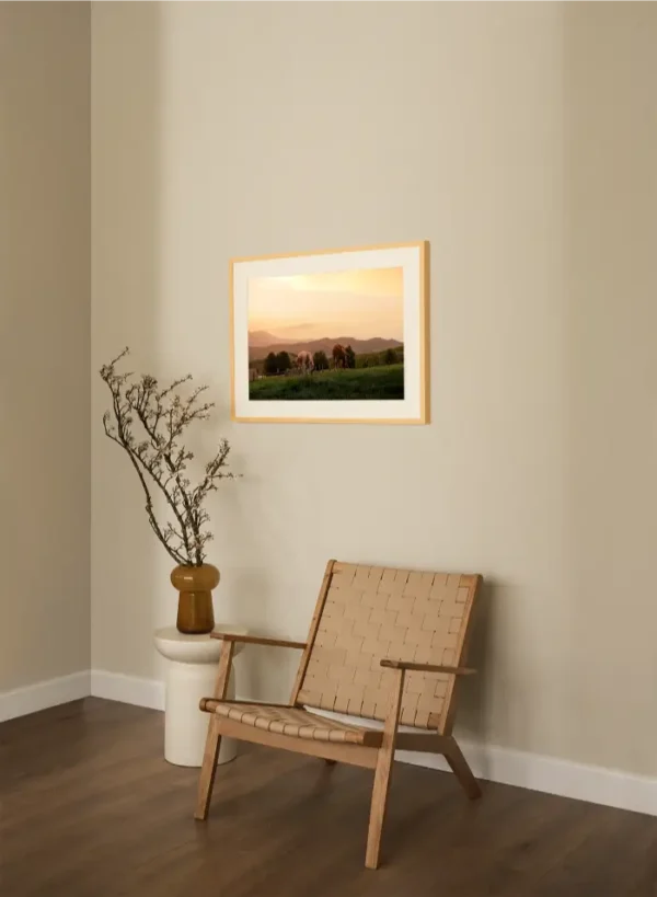 Fotografija dva konja koja pasu na zalasku sunca - slika na zidu